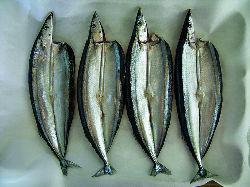 East Van Kitchen's Oven Baked Mackerel, Saury, or Sardine: small oily fish for a healthy, tasty and cheap meal!